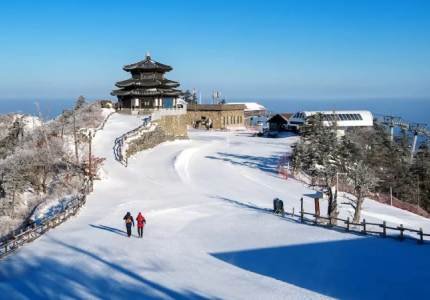 Dalhousie Taxi