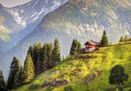 Chandigarh to Untouched Dalhousie Forest Escape