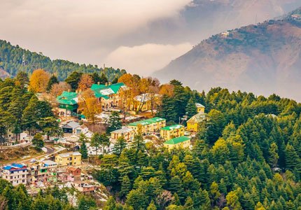 Dalhousie Taxi