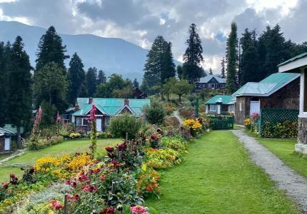 Srinagar Shikara Ride & Gulmarg Snow Adventure