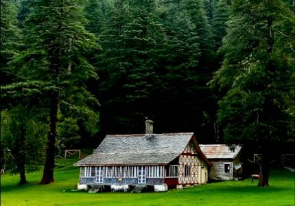 Chandigarh to Untouched Dalhousie Forest Escape