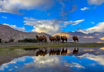 Chandigarh, Kaza, Key Monastery, Chandratal Lake Tour in 7 Days