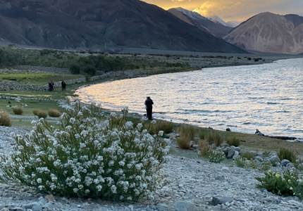 Chandigarh to Ladakh via Manali: Khardung La, Nubra & Pangong
