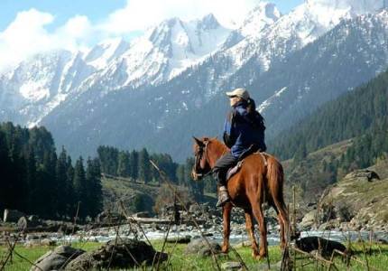 Srinagar City Tour: Dal Lake Houseboat, Shikara Ride & Mughal Gardens