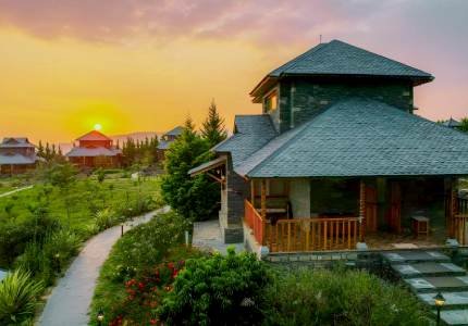 Amritsar, Dharamshala Monasteries, Palampur Tea Gardens Tour