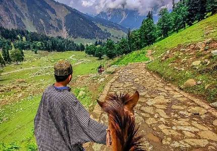 Katra, Vaishno Devi Bhawan Darshan, Patnitop Hills Relax Tour