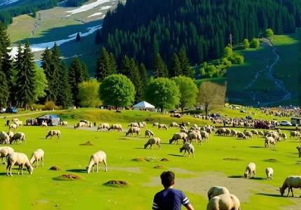 Srinagar Houseboat, Gulmarg Gondola & Pahalgam Rivers Tour