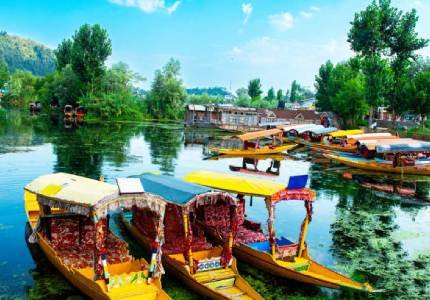 Srinagar City Tour: Dal Lake Houseboat, Shikara Ride & Mughal Gardens