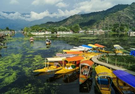 Srinagar Houseboat, Gulmarg Gondola & Pahalgam Rivers Tour