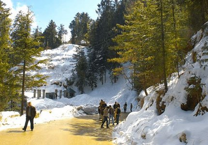 Shimla Mall Road - Kufri - Manali - Solang Valley Tour
