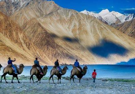 Ladakh Adventure: Leh, Nubra Sand Dunes & Pangong Lake