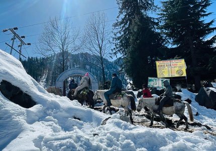 Chandigarh Weekend in Snowy Manali